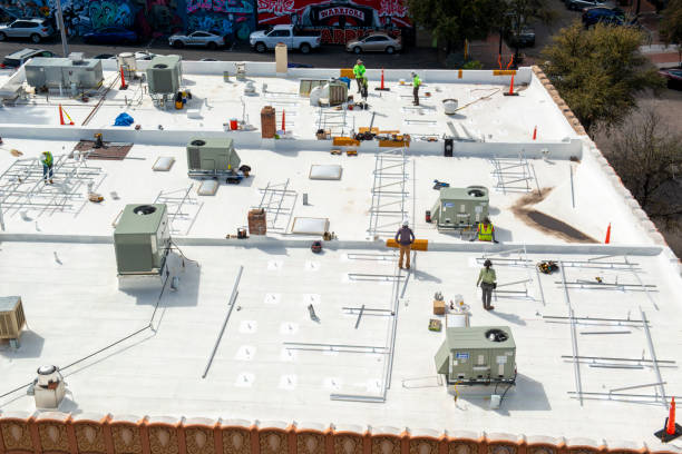 Best Roof Maintenance and Cleaning  in Des Plaines, IL