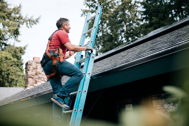 Best Flat Roofing  in Des Plaines, IL